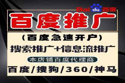 SEM托管实战案例：助力企业品牌形象塑造